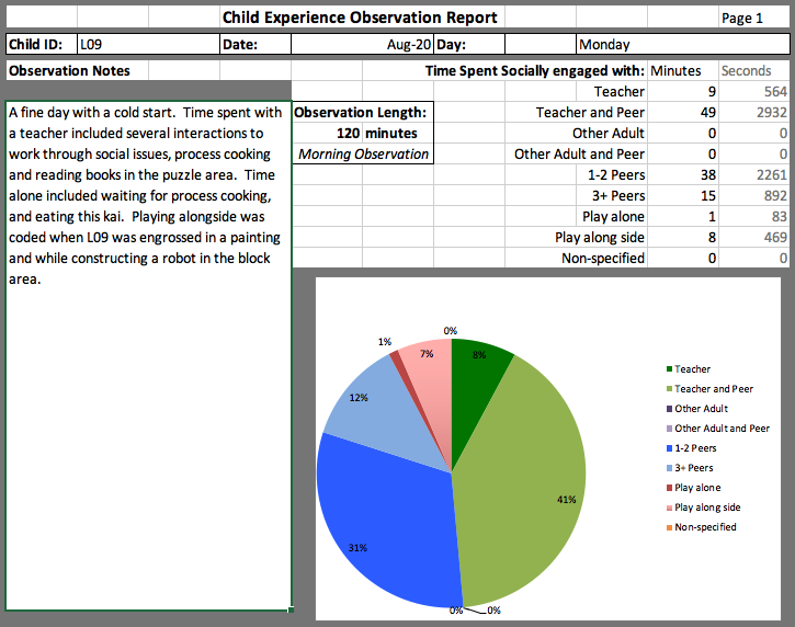 Chart, pie chart Description automatically generated