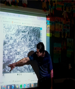 This is a photo of a teacher pointing to part of a photo that has been projected onto a screen