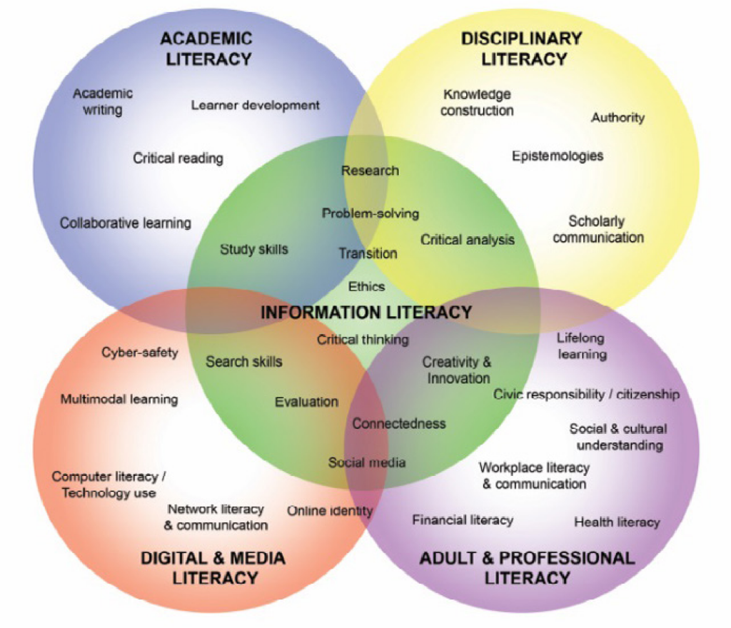 This is a sophisticated diagram of the various (and overlapping) elements impacting on information literacy