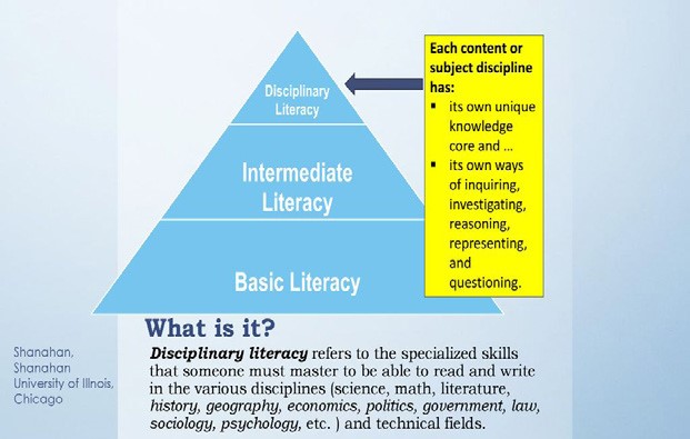 This is a pyramid shaped diagram with basic literacy at the bottom, intermediate literacy in the middle and disciplinary literacy at the top