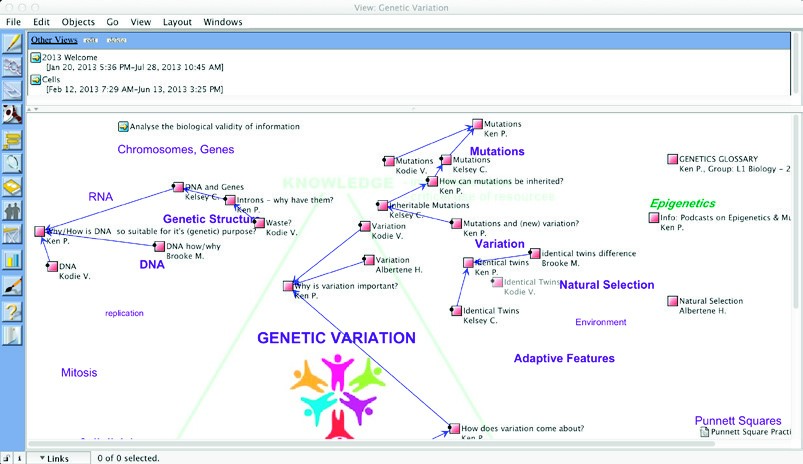 This is a screen shot of a diagram on genetic variation