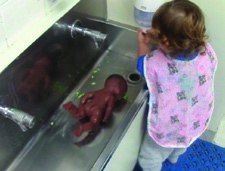 This is another photo of a girl bathing a doll