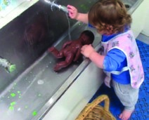 This is another photo of a girl bathing a doll