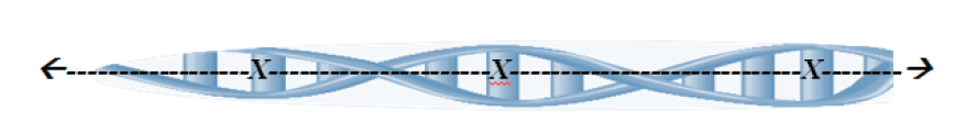 This is a continuum as per the image caption