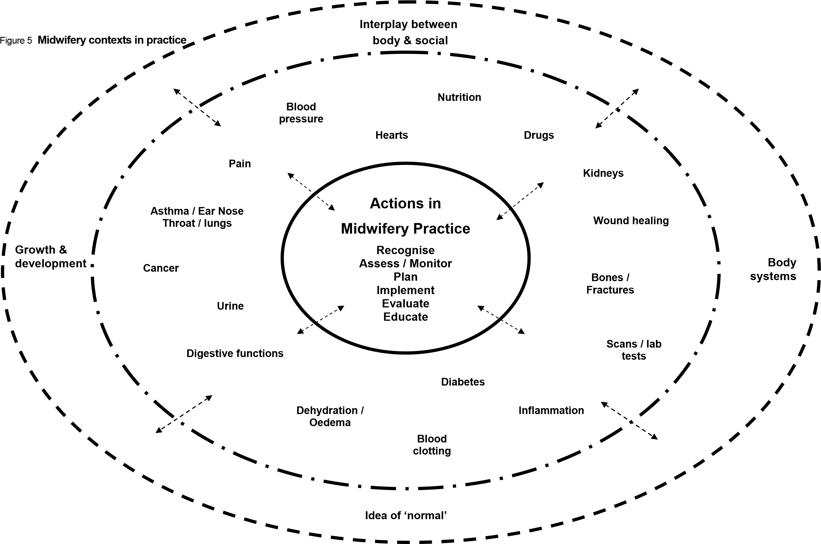 A large concentric diagram, with many health-related labels