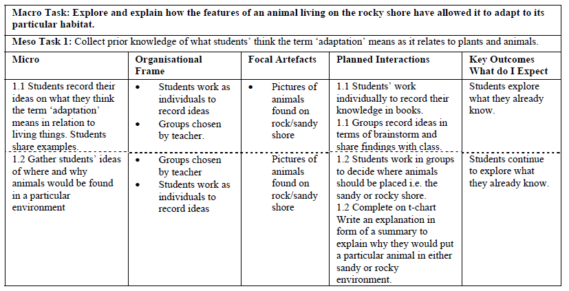 Tasks for the rocky shore exercise