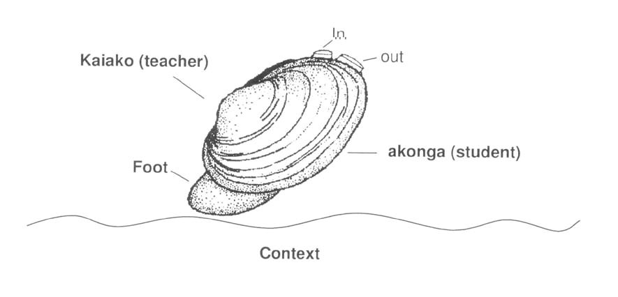 A diagram with a shellfish. Kaiako is at the centre and akonga on the outer edge of the shell. The foot of the shellfish is on the seabed, which is labelled as Context