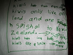 A student's handwriting on a sheet of paper. The ideas and observations are all to do with kiwis