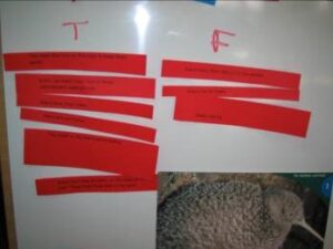 Two columns on a white board headed with T and F. There are some red strips of paper under the T and F - it's not possible to read what's written on these bits of paper