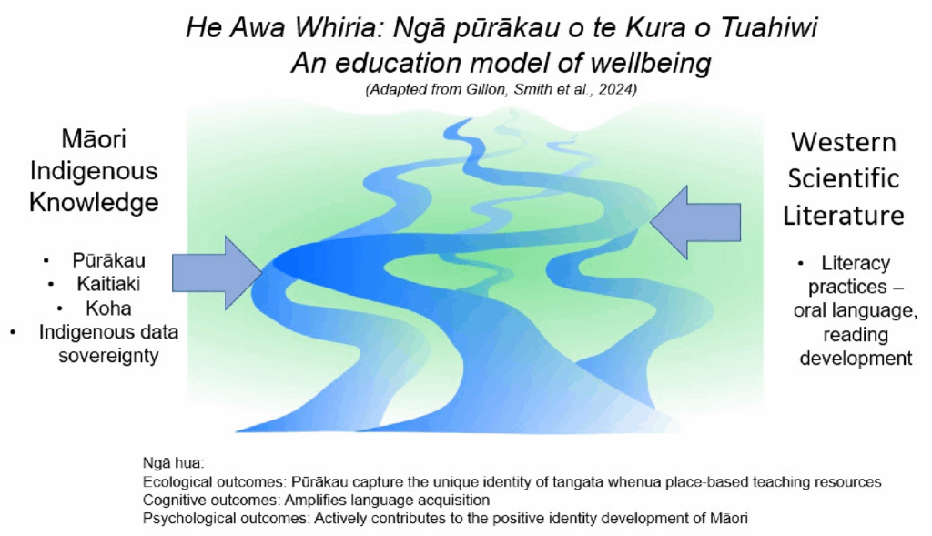A diagram of a braided river with Māori indigenous knowledge and features on one side, and Western scientific literature on the other