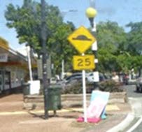 This image shows a yellow diamond-shaped traffic sign with a black illustration of a speed bump or hump, accompanied by the number "25" below it, indicating a speed limit of 25 km/h in the area.