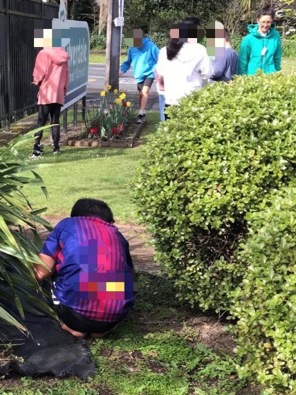 A picture of a studnet crouyching down and collecting seeds